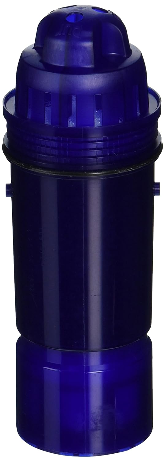 Which Is The Best Asian Water Filter