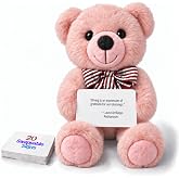 PowerPals Recordable Teddy Bear, 10-Inch Stuffed Animal with 20 Quote Cards | Soft pink plush, up to 42 seconds of voice recording, and 20 interchangeable preprinted quote cards Gift for Loved Ones