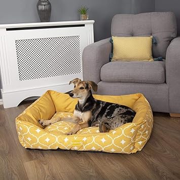 dog box bed