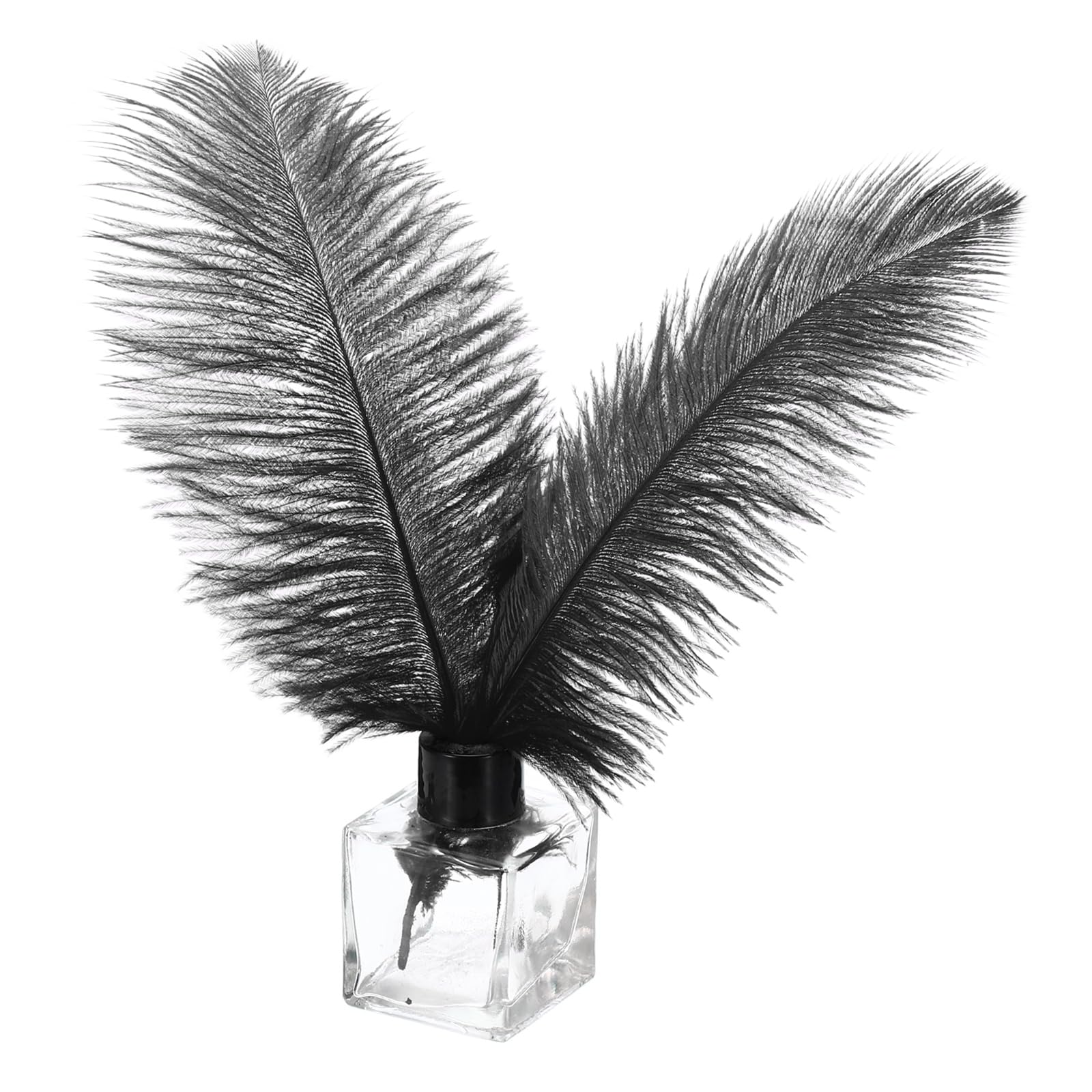 PATIKIL 30 Pcs Natural Ostrich Feathers Bulk 8-10 Inch/ 20-25 cm Large Ostrich Feathers for Crafts Home Decoration Wedding Party Vase Decor (Black)