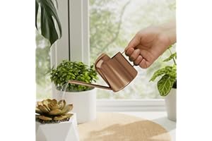 Bamworld Small Watering Can Indoor Outdoor Plant Metal Stainless Steel Long Spoutt Flowers Watering Cans for House Garden Pla