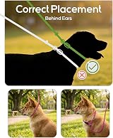 TagME Slip Lead for Dogs 1.8m Reflective Pad-Handle Training Leash Pink view 3