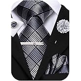 Hi-Tie Mens Paisley Floral Striped Ties Set Silk Necktie and Lapel Pin for Men Pocket Square Cufflinks Set Business Wedding