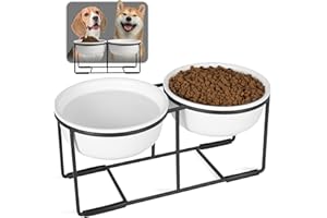 AHX Ceramic Elevated Dog Bowl Set - Double Dog Bowls with Non-Slip Metal Stand - Raised Dog Food and Water Bowl Set - Dog Feeding Bowls - Ideal for Small and Medium Dogs - 2 Cups - 27 fl oz - Matte White