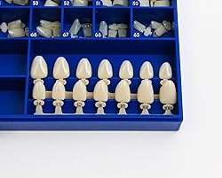 Polycarbonate Temporary Dental Crowns Kit 180 pcs