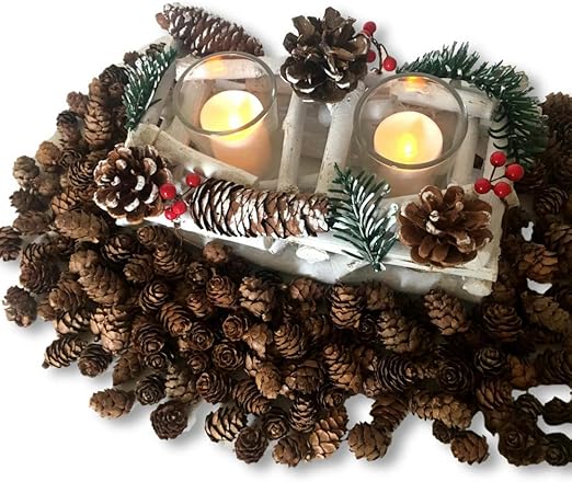 Amazon Com Banberry Designs Berry And Pine Cone Candle Holder White Driftwood Design With Mini Pinecone Table Scatters And 2 Led Candles Christmas Candle Centerpieces Home Kitchen