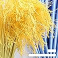 Mousidr Fake Grain Plant Artificial Paddy Rice Flowers Yellow Natural Plants for Home Office Hall Shop Window Garden Decoration (12 Packs 23.6inches)