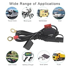 Sae to O Ring Terminal Harness 2FT - Sae Eyelet