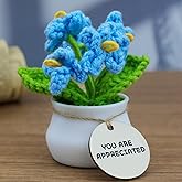 Encouragement Crochet Flowers with Positive Wooden Affirmations Handmade Artifical Flower Decor Ideal for Birthday/Christmas/Thank You Present (Blue Forget Me Not, You are Appreciated)