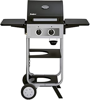 Enders Gasgrill BROOKLYN NEXT 2, kleiner Grill, 2 Brenner aus Edelstahl, mit Grillthermometer, Gasflasche verstaubar, Edelstahl-Grillrost, Balkon-Grill, Grillwagen, #86456