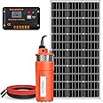 ECO-WORTHY Solar Well Pump Kit - 100W Solar Panel with 12V Deep Well Water Pump for Off-grid Living or Irrigation, Farm & Ranch-DELIVERY IN 2 PARCELS One