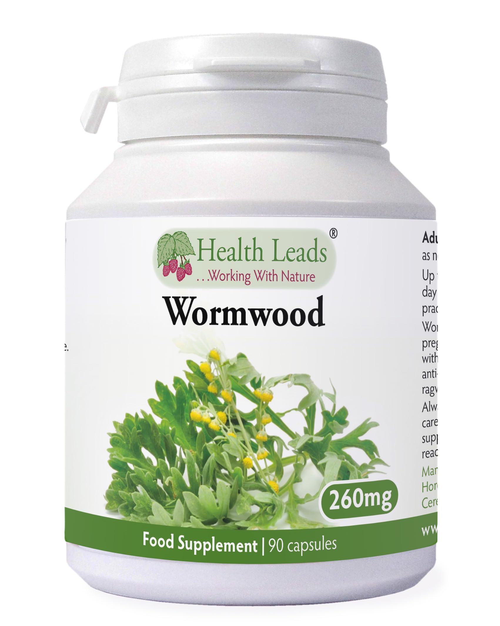 Wormwood 260mg x 90 Capsules