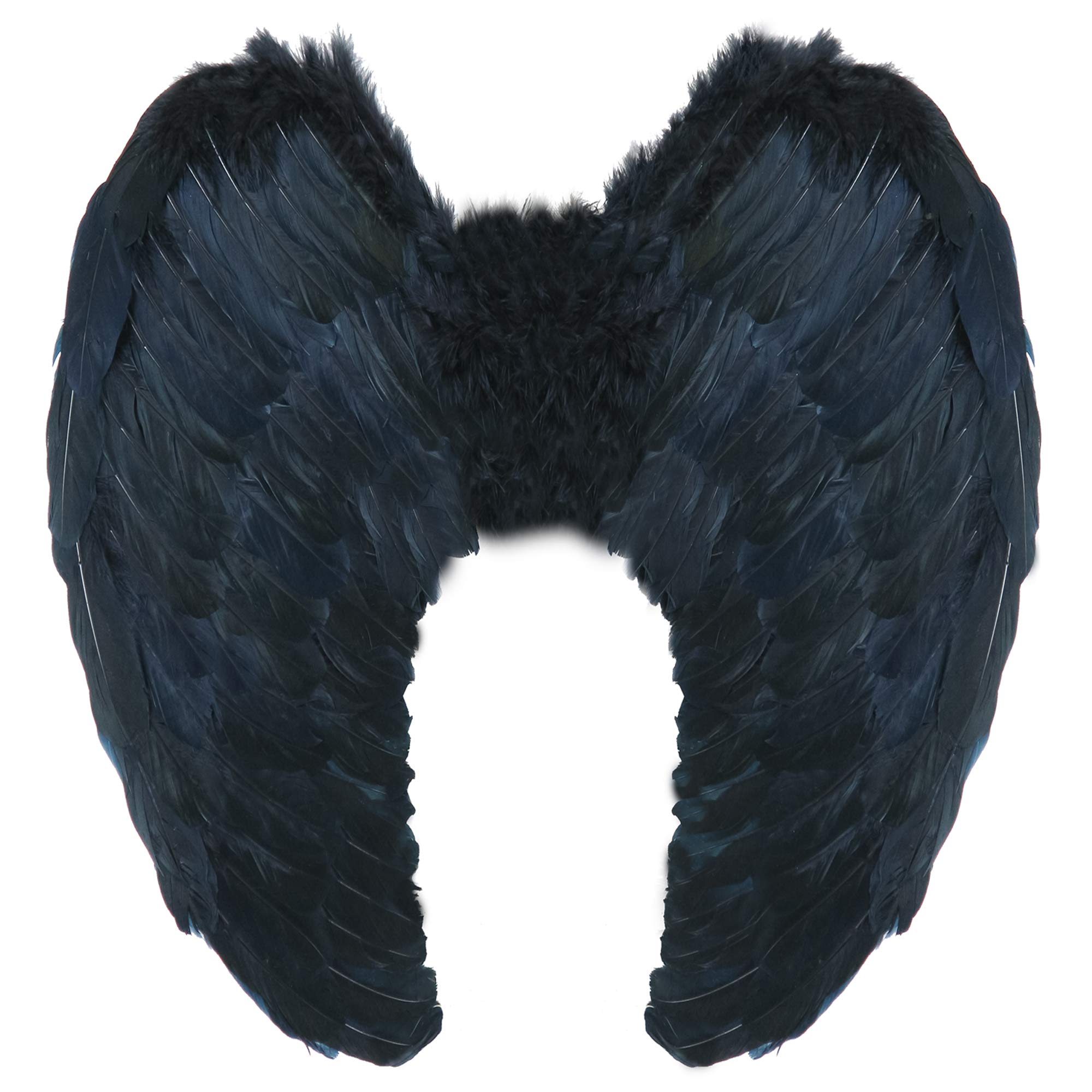 Yummy Bee Angel Fairy Wings Costume Fancy Dress Large 60 x 40 Black White Red Deluxe Real Feathers (Black)