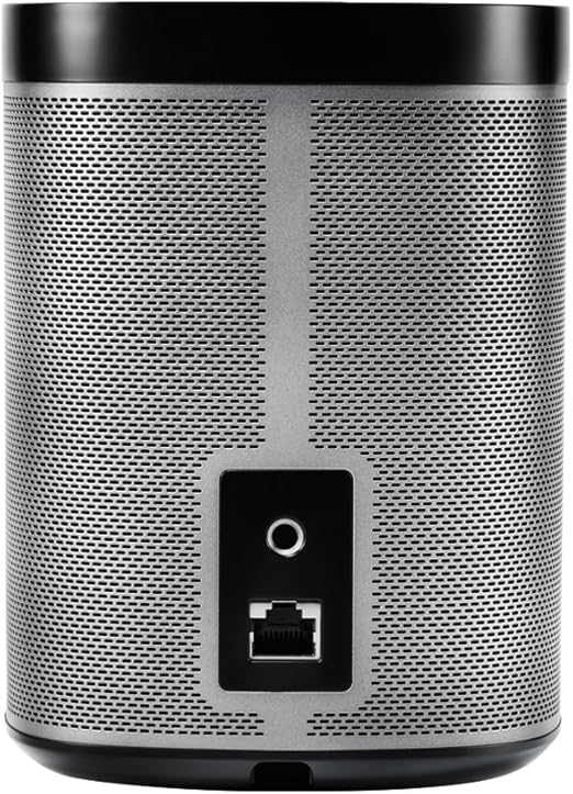 sonos play 1 2 room starter set