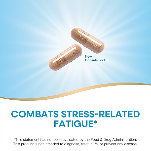 NATURE’S WAY FATIGUED TO FANTASTIC! ADRENAL STRESS END, STRESS-RELATED FATIGUE SUPPORT*, 60 COUNT