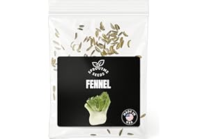 SPROUTME SEEDS Fennel Seeds for Planting – 150+ Non-GMO Heirloom USA-Grown – Gourmet Culinary Herb & Herbal Tea, Aromatic Flavor, Pollinator Friendly, High Germination (Foeniculum vulgare)