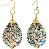 Teardrop Abalone Shell Dangle Earrings for Women
