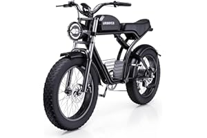 Urbrica Electric Bike for Adults, 1500W 30MPH,48V 20/23AH,Max 75Miles Electric Motorcycle 20" Fat Tire Dirt Bike, Shamano 7-Speed E-Bike Dual Shock Absorber UL Certified