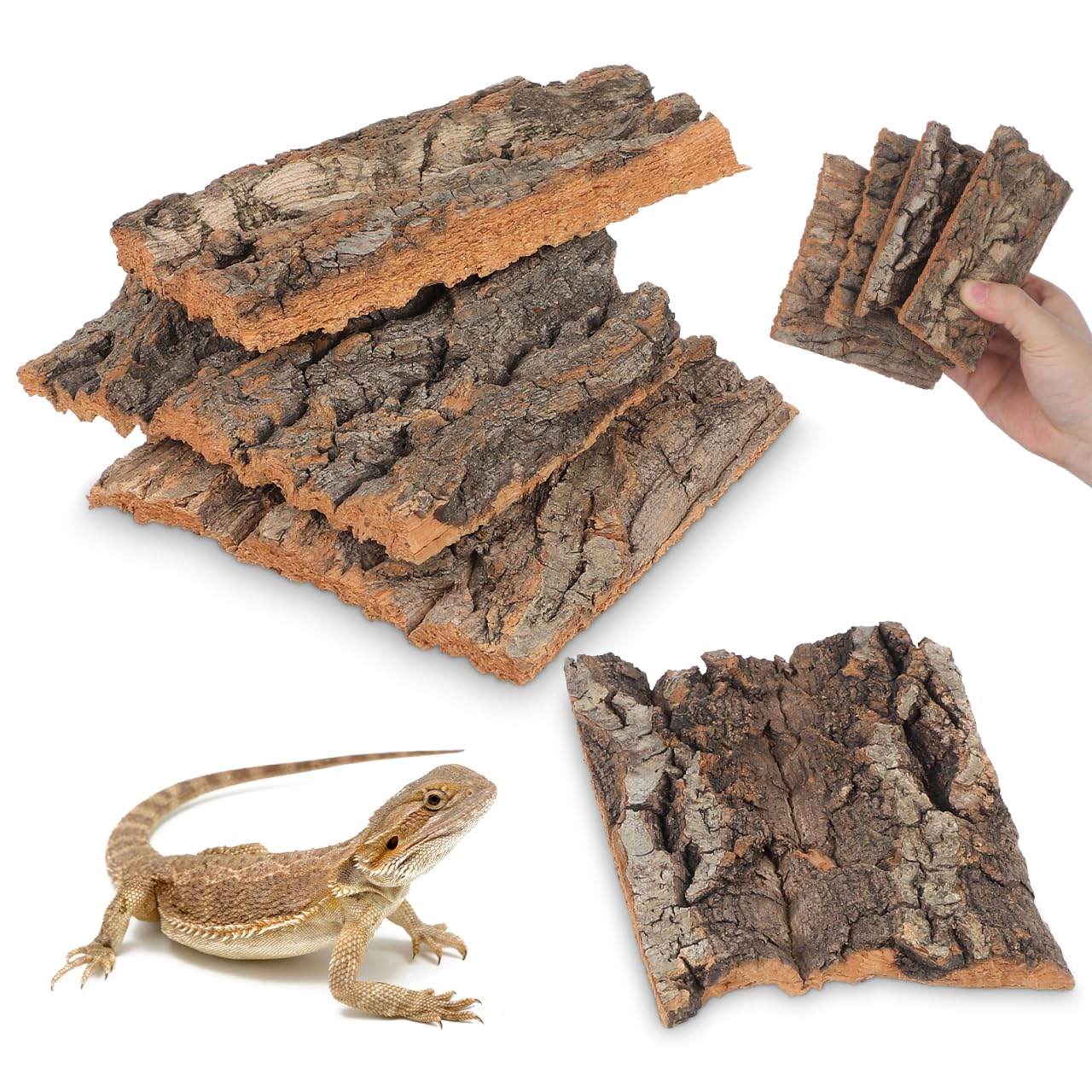 Yardwe 4Pcs Reptile Bark Decoration Wood Aquarium Bark Reptile Branches Cave Reptile Climbing Cork Hideouts Log Hideaway Aquarium Hideout Branch Bearded Dragon Tree Reptilians Spider Tank