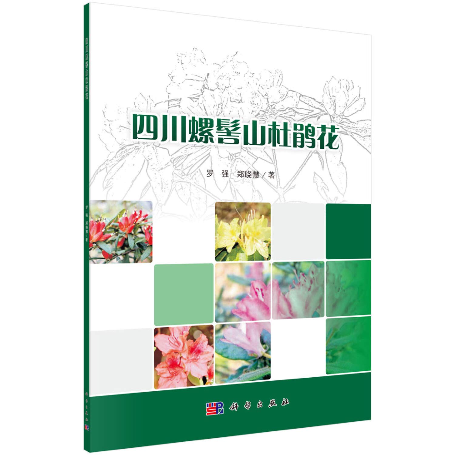 四川螺髻山杜鹃花 罗强郑晓慧 Amazon Com Books