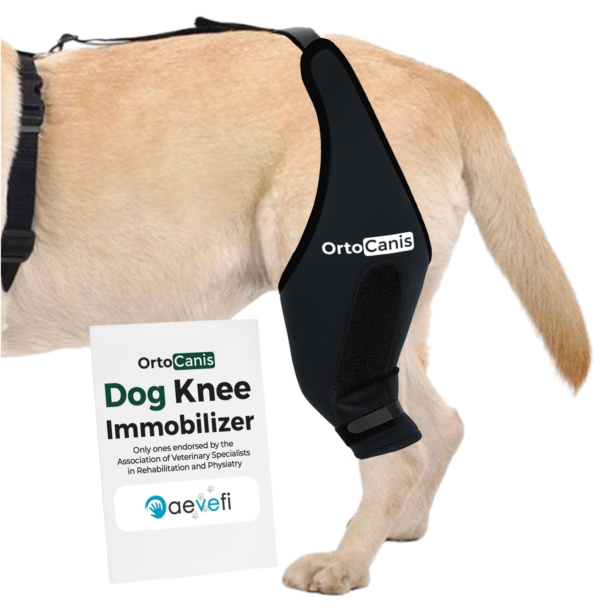 Ortocanis - Knee Brace for Dogs with Ligament Rupture and Patella Luxation, Size XXS, Left Leg