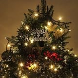 SHATCHI 1000 LEDs Fairy String Lights 55m Warm White Green Cable 8 Modes UK Plug view 4