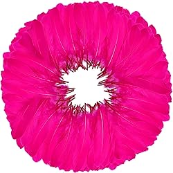 FeelfunFeather 120pcs Hot Pink Goose Feathers 6-8