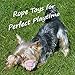 Dog Chew Teething Rope Toys Set, Mini Dental Pack For Puppies, Small To Medium Dogs