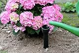 Maximex Wurzelgießer Set of 3 Root Waterers, 30x5.5cm, Black Plastic view 4
