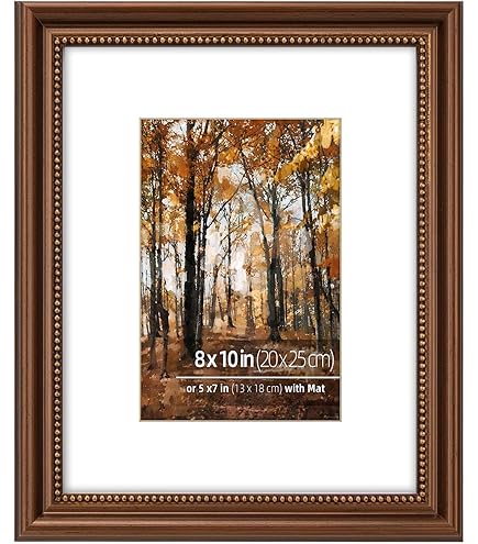 Amazon.com: MCS 20x20 Inch Signature Beaded Frame with 5x5 Inch