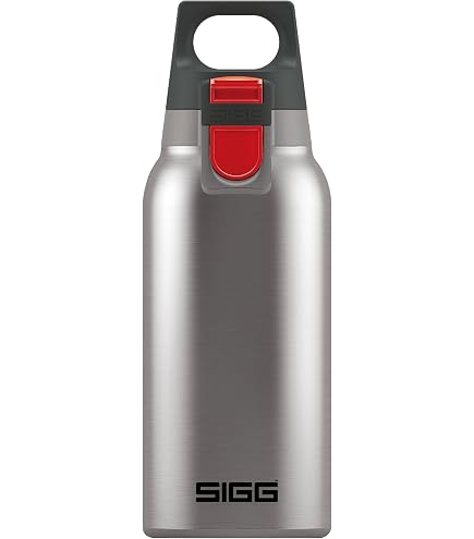 Amazon.com: SIGG - Insulated Thermo Flask Hot & Cold ONE Light