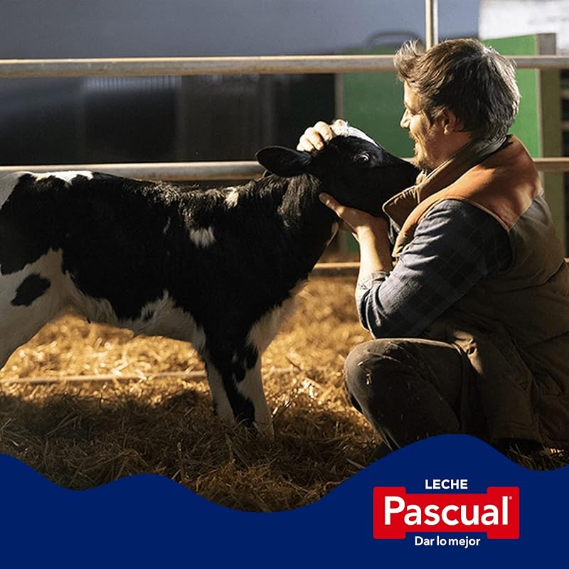 Pascual - Pascual Leite meio gordo - Bem-estar animal - Pack 6 x 1 L
