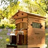 Flow Hive Automatic Beehive Kit &ndash; Self-Harvesting Honey Bee Hive for Backyard Beekeeping | Cedar Wood Bee Hive Box for Beginners | Starter Beehive with Flow Frame Technology