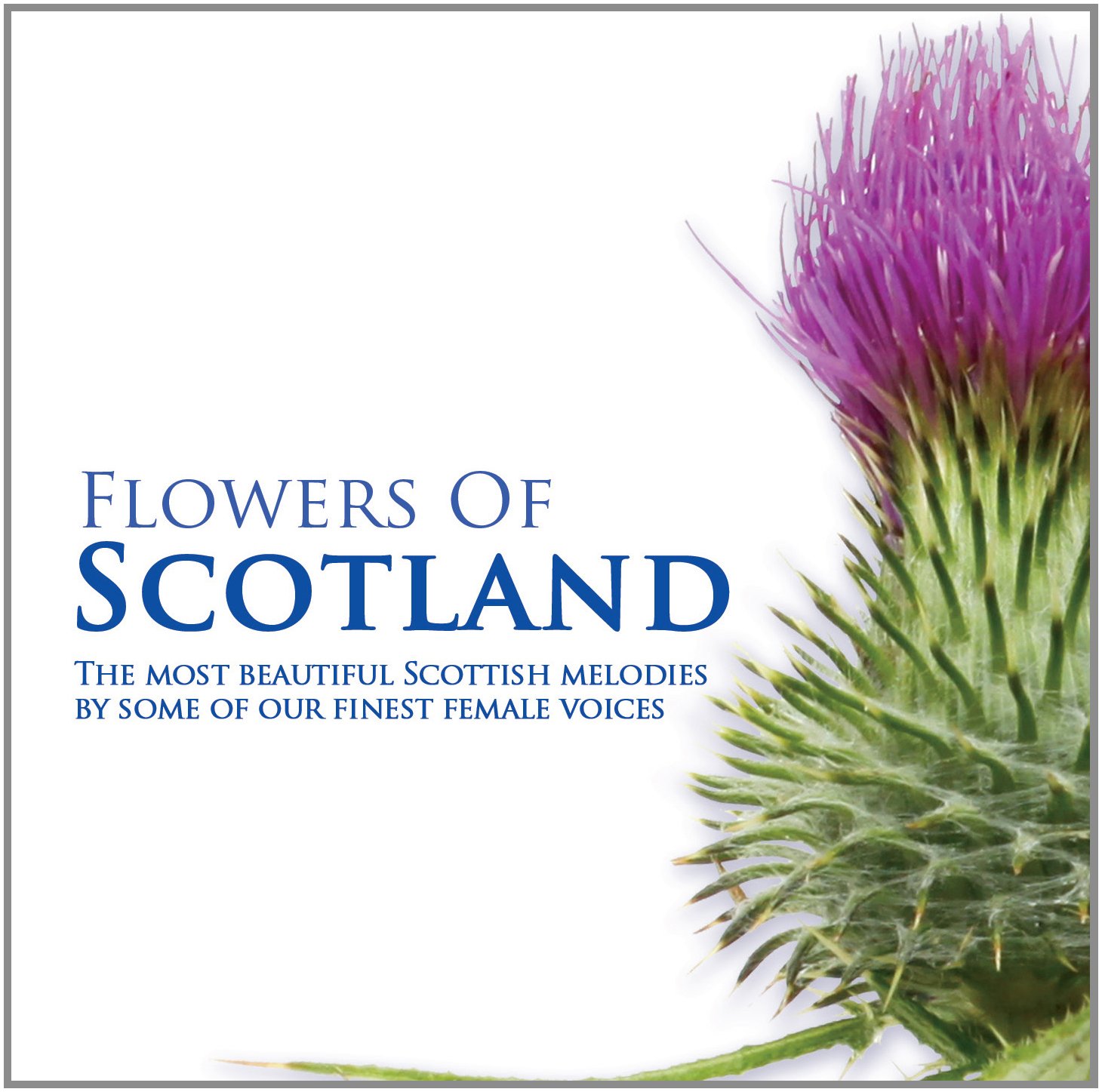 Flowers of Scotland Various Artists Amazon.fr Musique