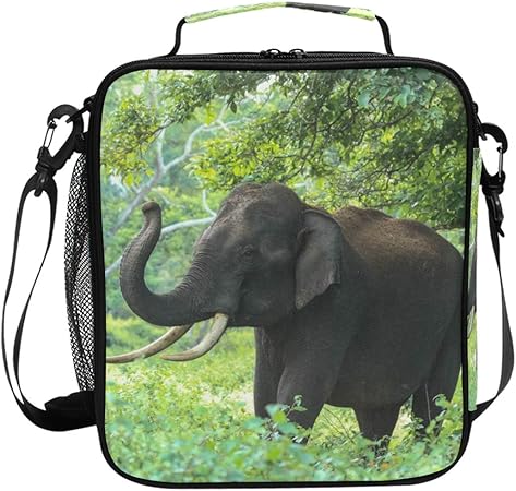 elephant lunch bag