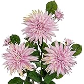 3Pcs Pink Artificial Dahlia Flowers Fake Flower Silk Flowers with Long Stem 29.5" Floral Arrangements Bouquets Faux Dahlias Flowers for DIY Wedding Party Centerpieces Decor Home Office Decoration