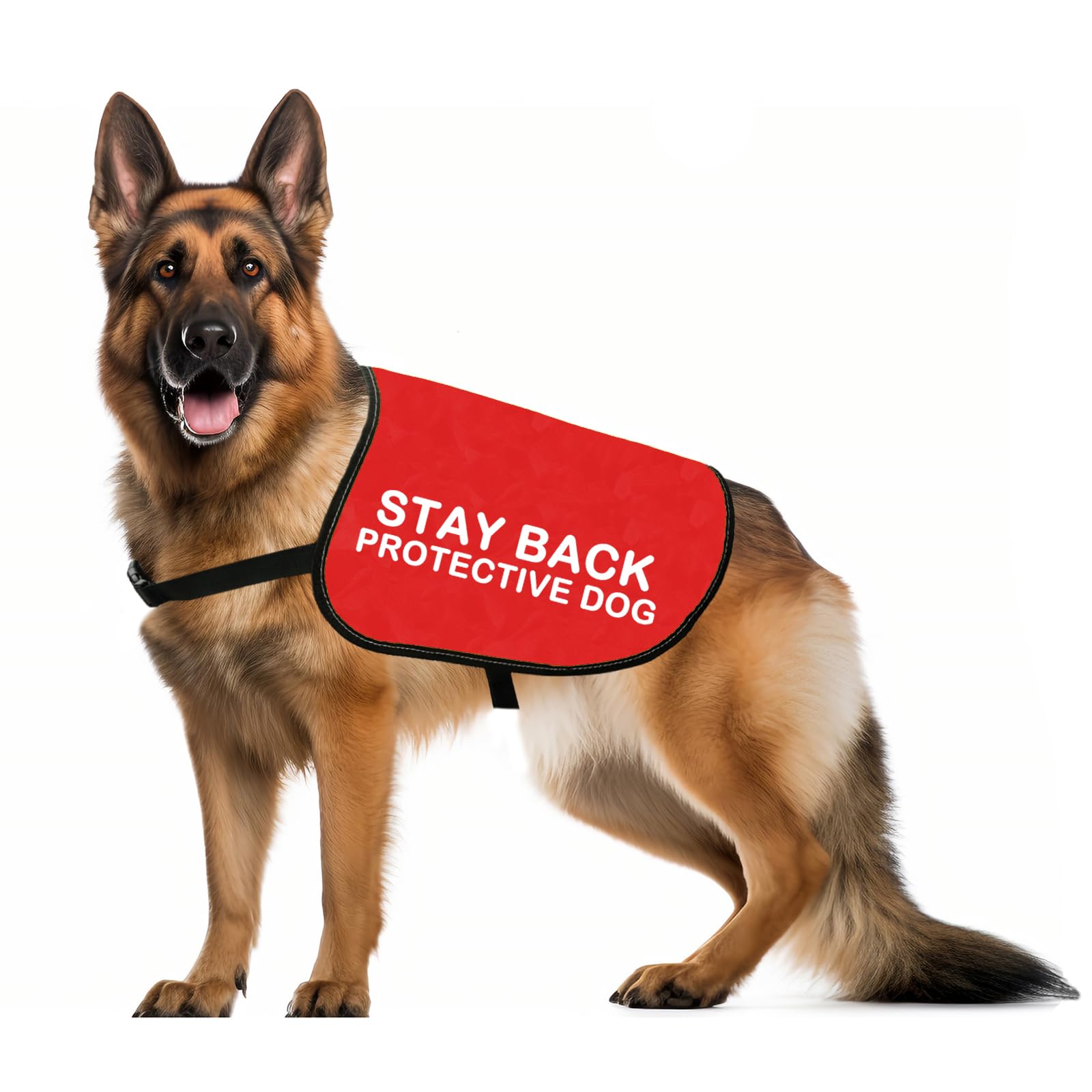 Rescue Dogs Stay Back Protective Dog Jacket Vest Anxious Dogs Dog Walking Slogan Warning Vest (Stay Back -L)