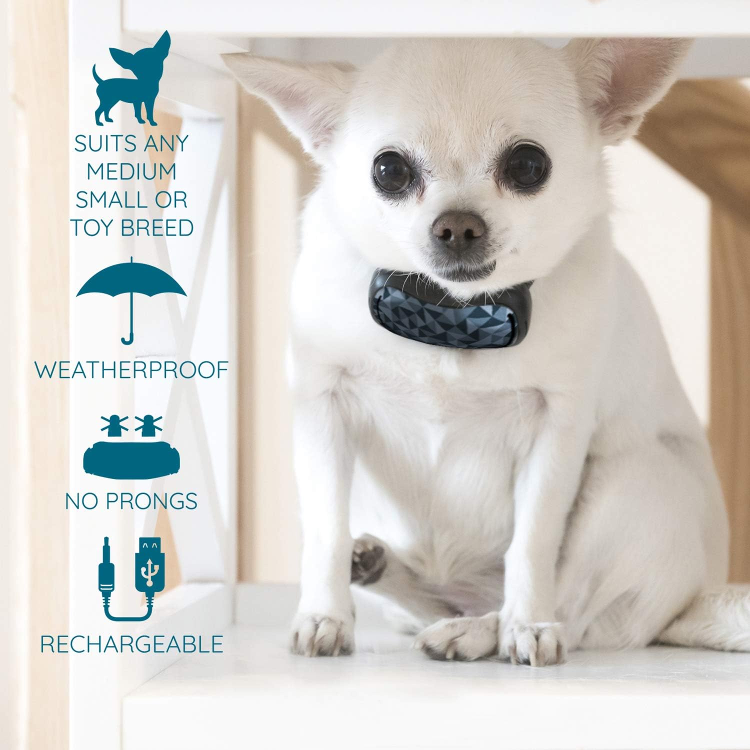 GoodBoy Small Rechargeable Dog Bark Collar for Tiny to Medium Dogs Weatherproof and Vibrating Anti Bark Training Device That is Smallest & Most Safe On  - No Shock No Spiky Prongs! (6+ lbs) : Kitchen & Dining