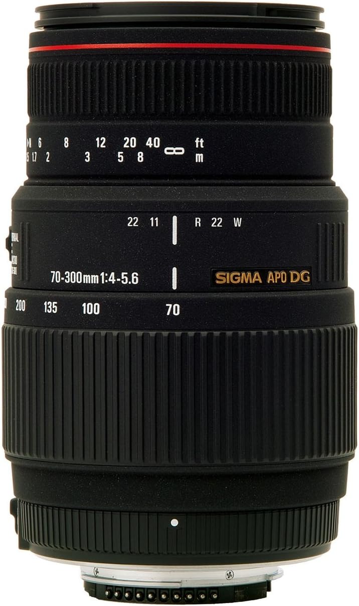 Amazon Com Sigma 70 300mm F 4 5 6 Dg Apo Macro Telephoto Zoom Lens For Nikon Slr Cameras Camera Lenses Camera Photo
