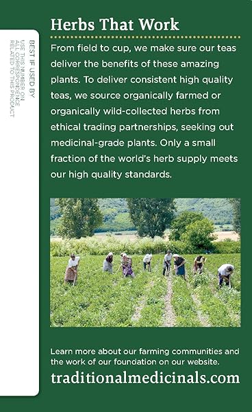 TRADITIONAL MEDICINALS ORGANIC, SPEARMINT TEA – SUPPORTS EVERYDAY WELLNESS, HEALTHY & REFRESHING – KOSHER, NON-GMO, CAFFEINE-FREE, COMPOSTABLE – 16 TEA BAGS