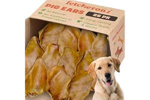 FETCHERONI Whole Pig Ears for Labrador Retriever Dogs Large - 25 Pack Long Lasting Dog Chews – Dog Treats One Ingredient Delicious All Natural Flavor – Easy to Digest Dog Treats for Large Dog