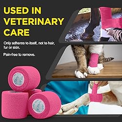 OK TAPE 12 Rolls Self Adhesive Bandage