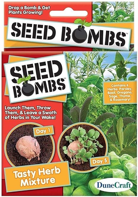 Amazon Co Jp 発芽種子 種子爆弾のボックスおいしいハーブミックスパセリ バジルオレガノ セージ タイム ローズマリー ホーム キッチン
