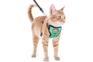 AWOOF Cat Harness and Leash Escape Proof, Adjustable Cat Kitten Puppy Walking Jacket with Metal Leash Ring, Soft Breathable Small Pet Vest (M)