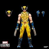 Marvel Legends Wolverine Figure 6-Inch Deadpool & Wolverine Movie Collectible view 2