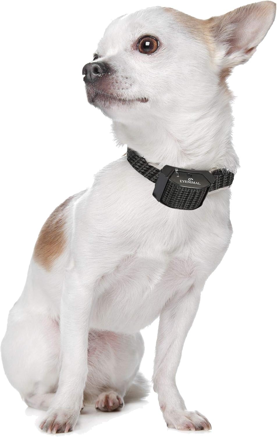 eyenimal dog repeller