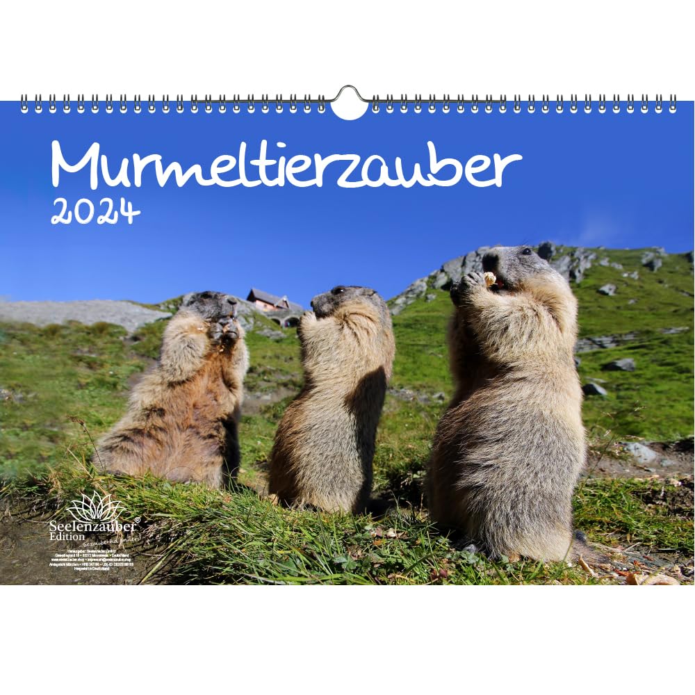 Marmot Magic DIN A3 Calendar for 2024 Marmot Seelenzauber