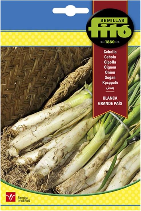 Semillas Fitó 46 - Semillas de Cebolla Blanca Grande País: Amazon ...