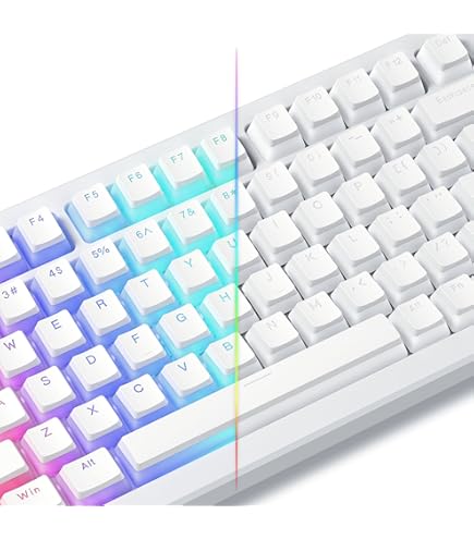 Wooting 60HE keycaps 白 Genuine Wooting 60HE Two He Keycaps Key Cap, Full Size