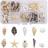 GraceAngie 1 Box 200pcs Small Tiny Sea Shells Mixed 0.7"-1.2" Beach Natural Seashell for DIY Jewelry Making, Home Decorations